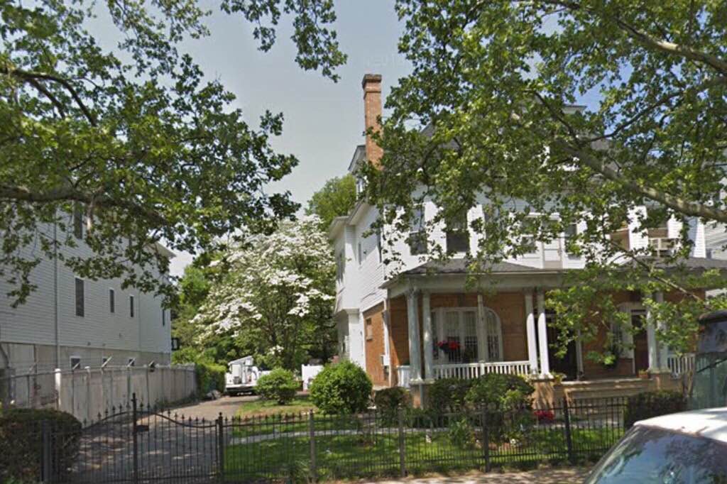 Cat Boarding in Manhattan with Best Prices on PetBacker