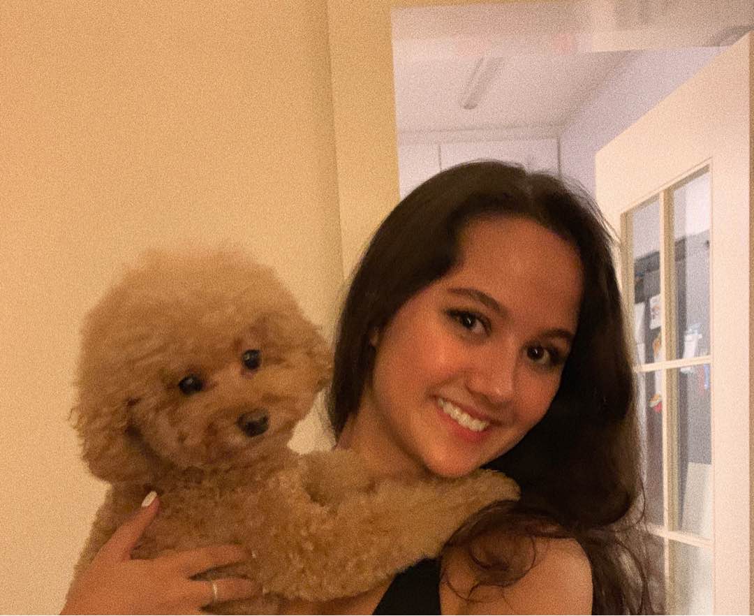 Aberdeen Best Pet Boarding, Grooming for Dogs, Cats with Pickup PetBacker