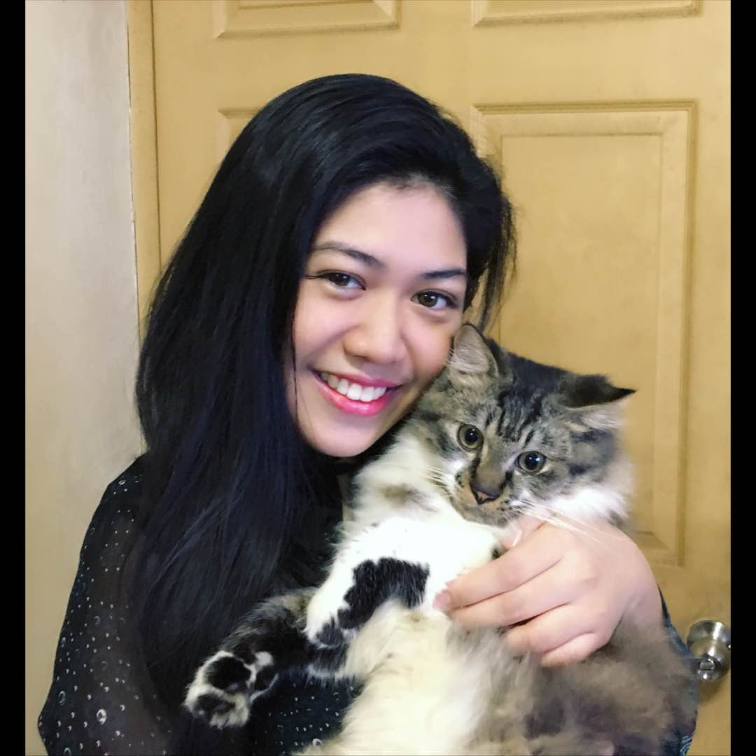 overnight cat boarding near me