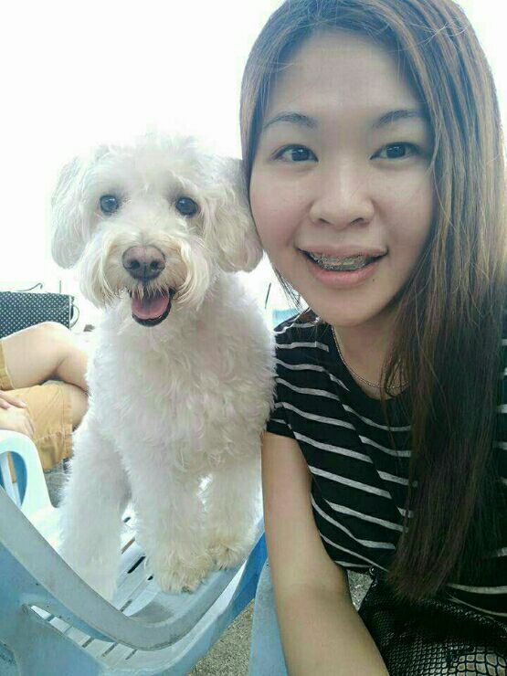 Penginapan Anjing di Bandar Mahkota Cheras dengan Harga Terbaik 