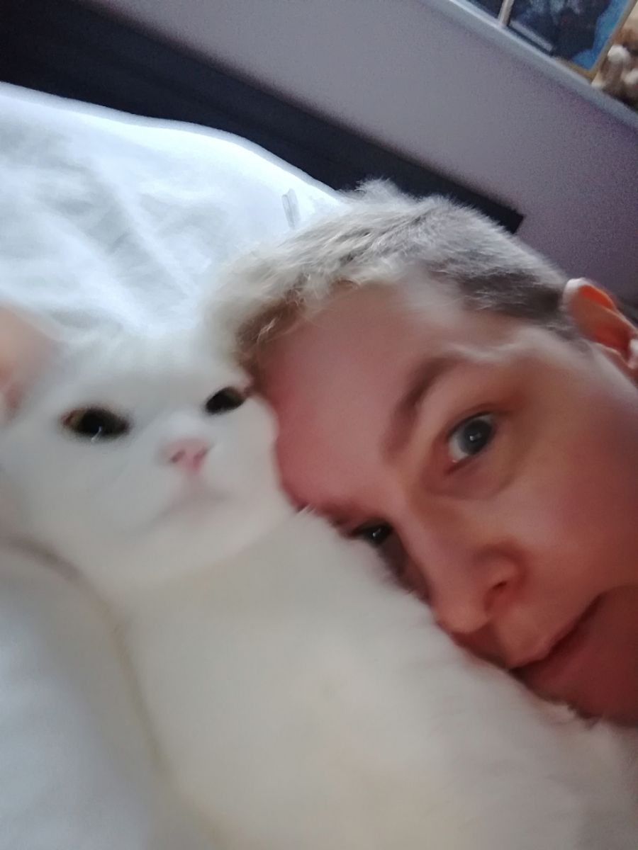 Cat Sitters in Manchester with Best Prices on PetBacker