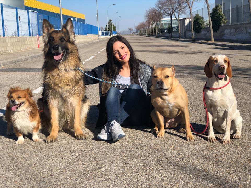 Best Pet Boarding, Grooming and Pet Sitters Near Me PetBacker