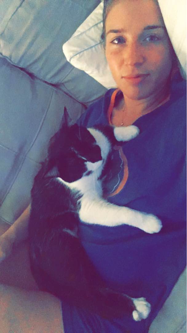 Top Dog Boarding in Siesta Key with Best Prices on PetBacker