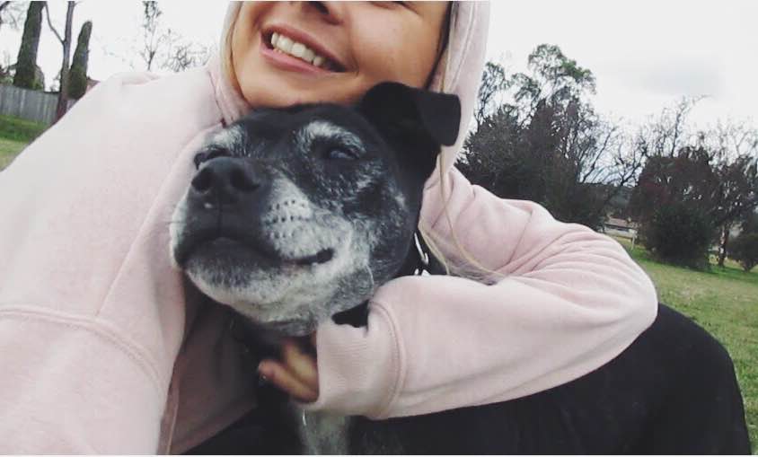 Pet Grooming Armidale