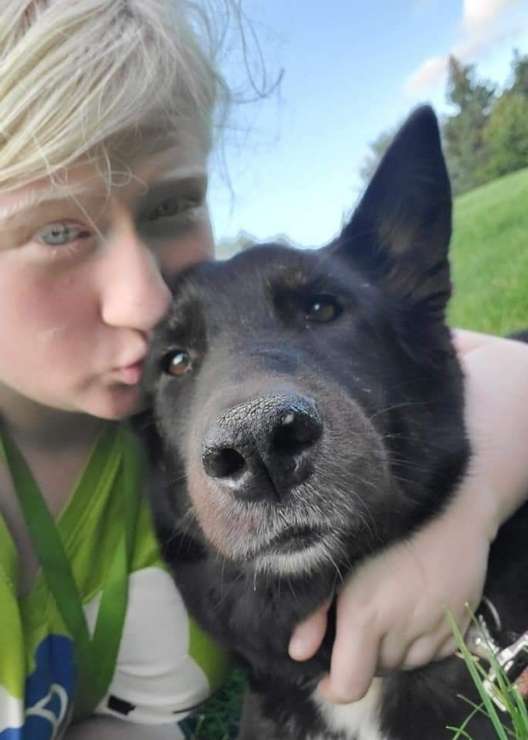 Top Grooming in Brampton with Best Prices on PetBacker