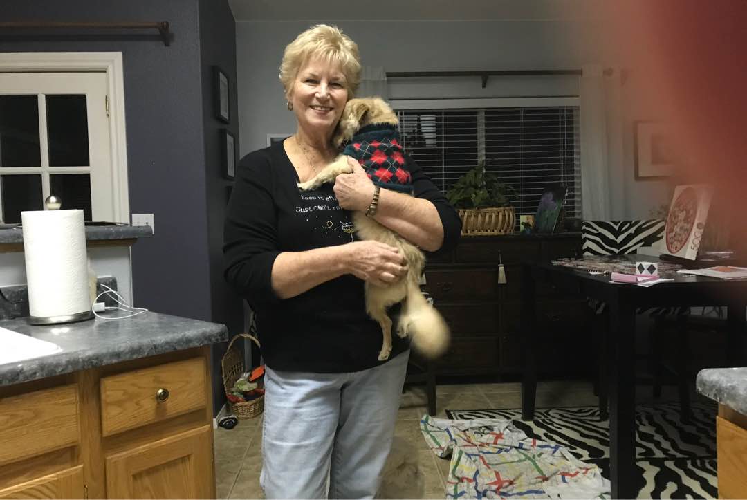 Mesquite Best Pet Boarding, Grooming for Dogs, Cats with Pickup