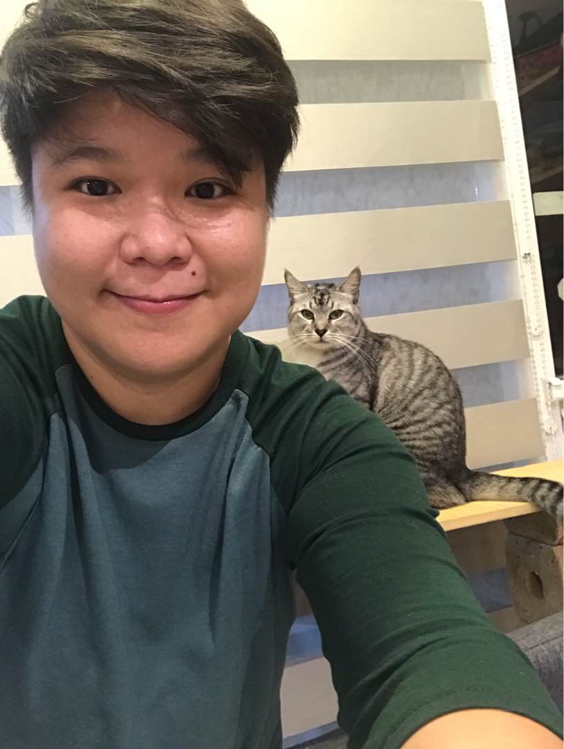 overnight cat boarding near me