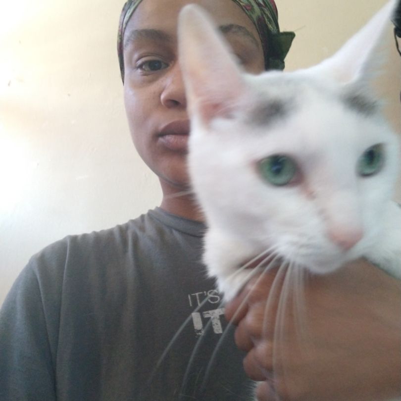 Pet Sitters in New York City with Best Prices on PetBacker