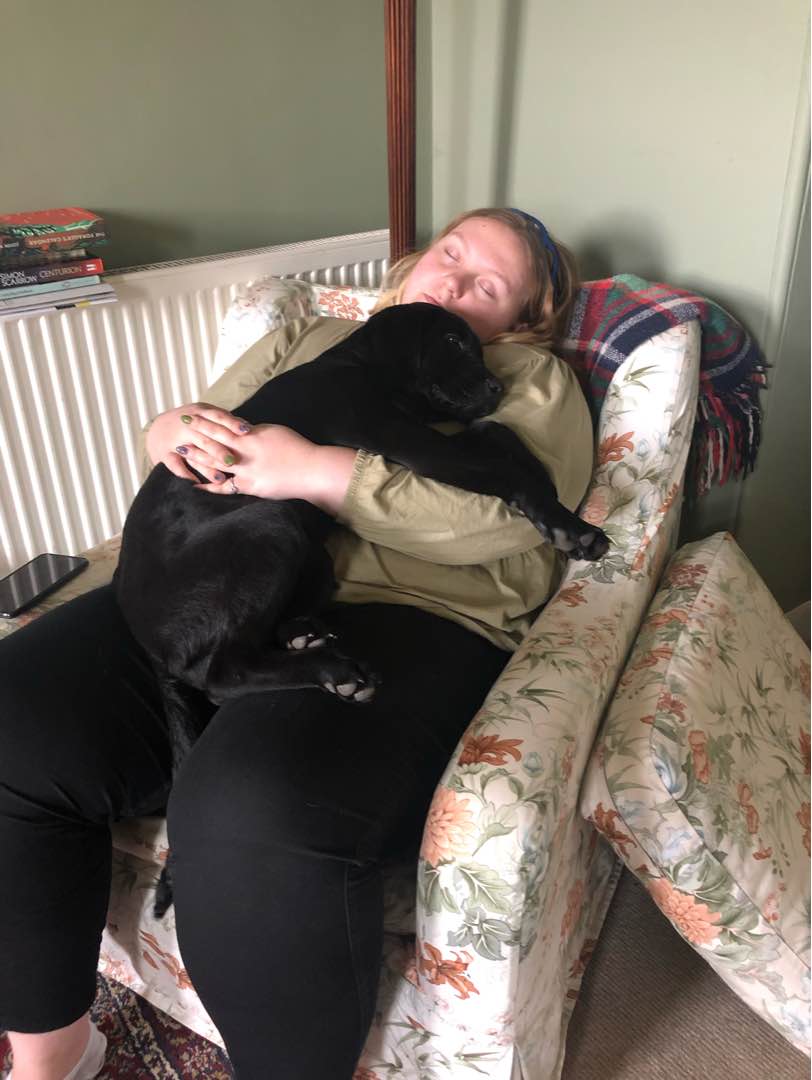 Pet Sitters in United Kingdom Insured on PetBacker