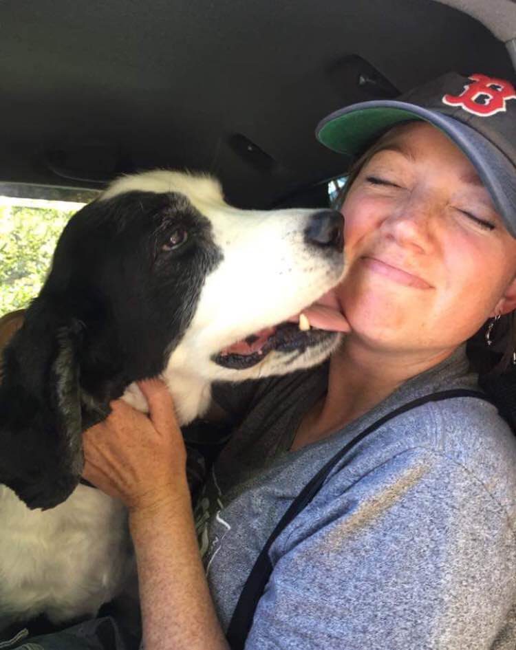 Innsbruck Haustier Unterkünfte, Taxi, Pflege für Hunde, Katzen in