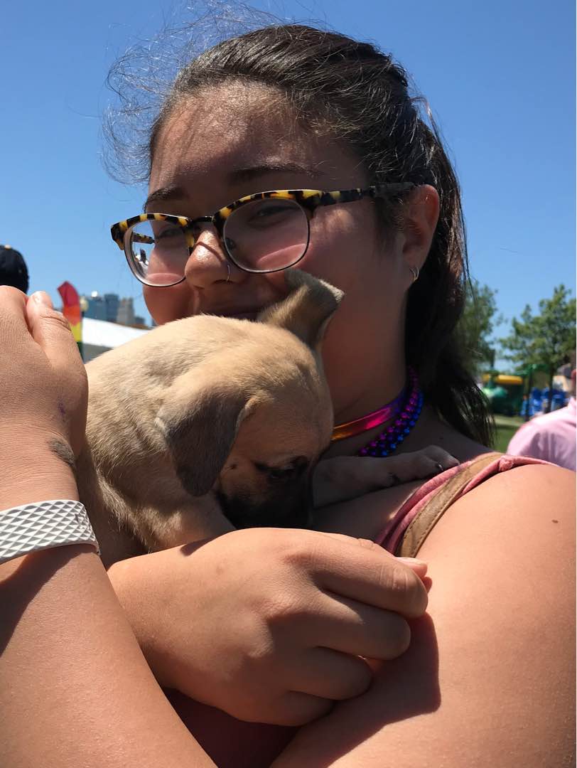 Top Pet House Sitting in Woodbridge with Best Prices on PetBacker