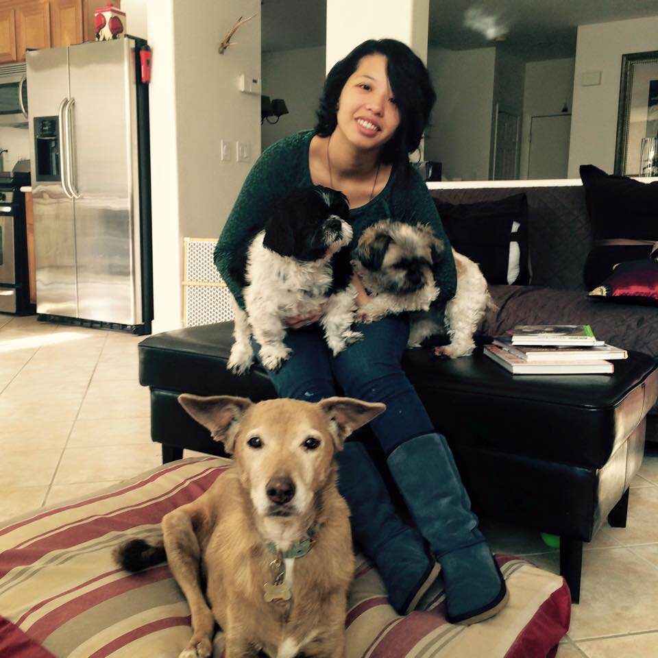 hornings farm puppies for sale