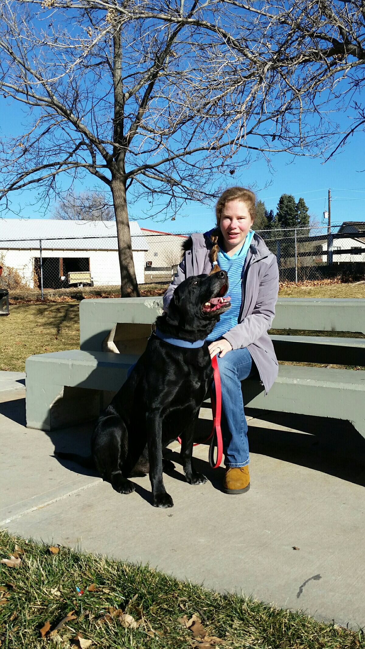 Cat Sitters in Westminster with Best Prices on PetBacker