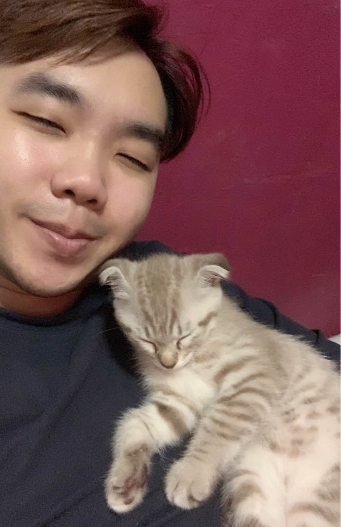 Cat Boarding in Woodlands with Best Prices on PetBacker