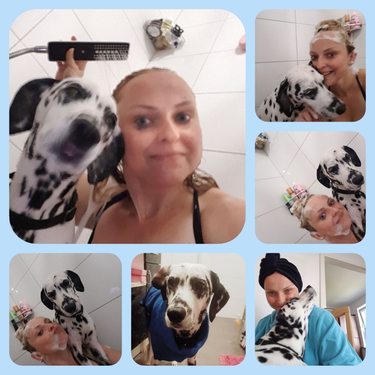 รัฐวิกตอเรีย Pet Grooming Prices & Reviews PetBacker