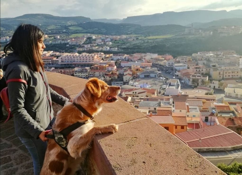 Top empfohlene Hunde Ausführen in München