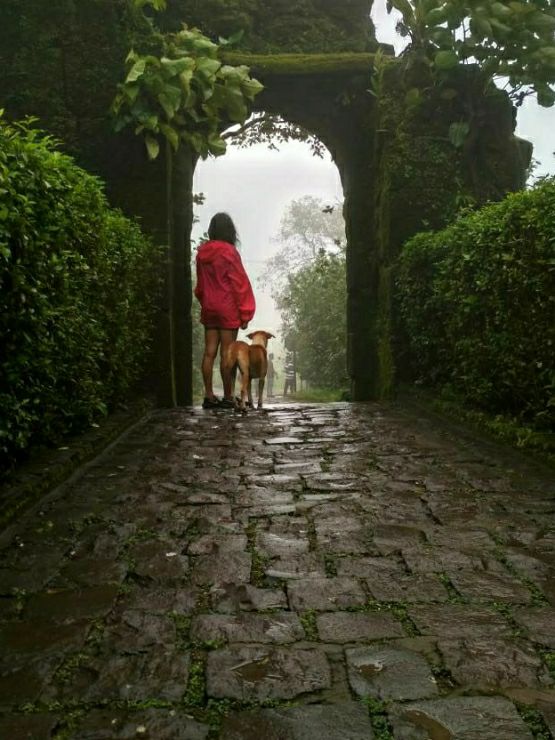 Pet Sitters in Bangalore with Best Prices on PetBacker