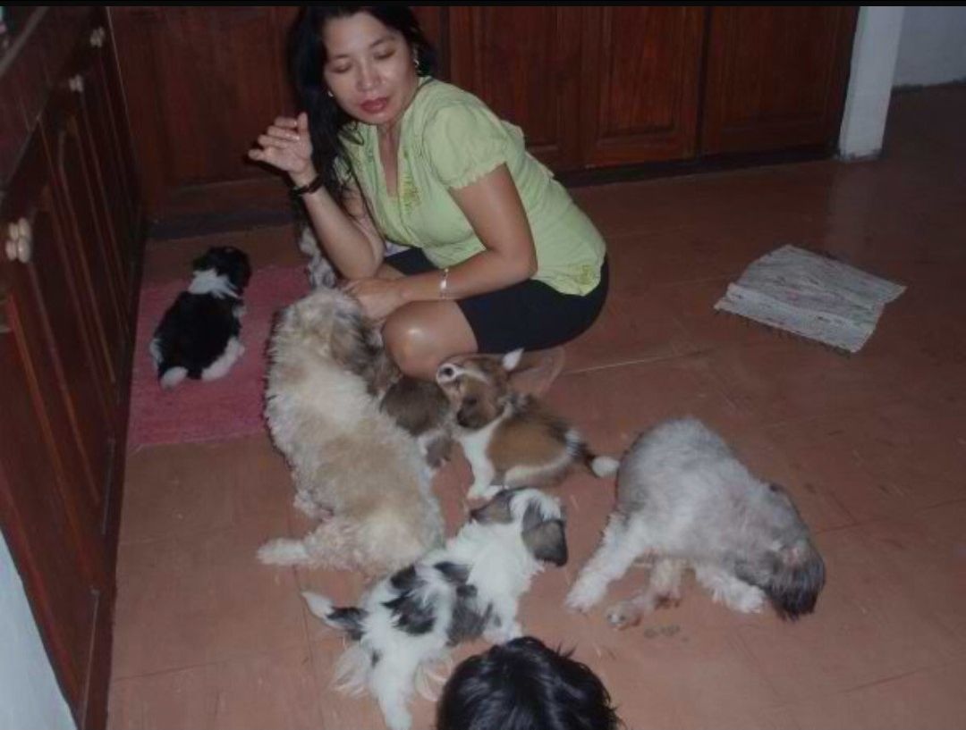 Pet House Sitting in Taguig with Best Prices on PetBacker