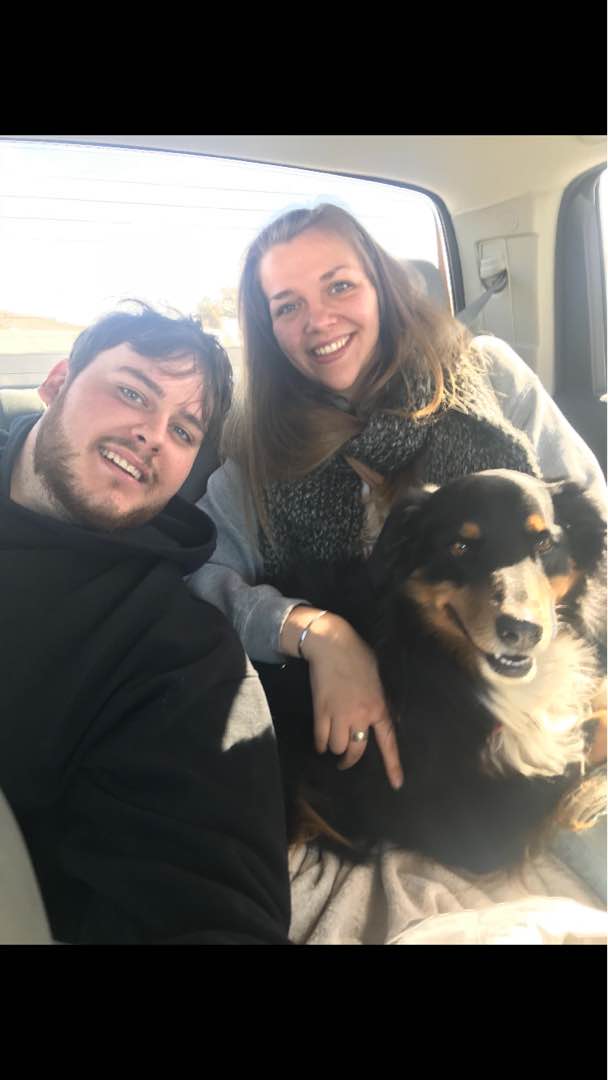 Top Pet Sitters in Albuquerque with Best Prices on PetBacker