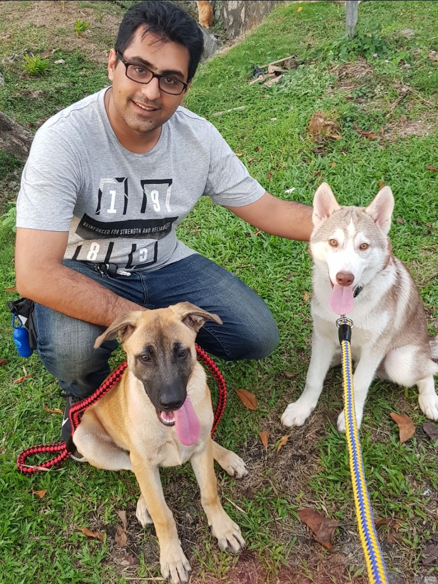 Top Dog Sitters in Pengkalan Hulu with Best Prices on PetBacker