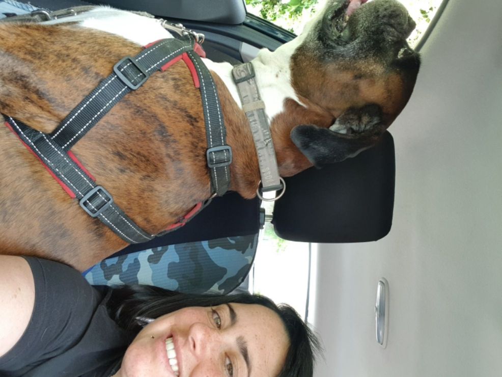 Top Dog Boarding in Metropolitan City Of Naples with Best Prices on