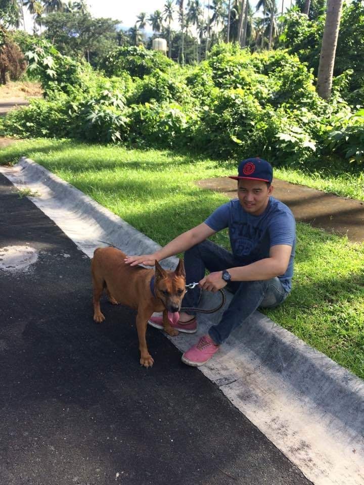 Dog Walking in Quezon City with Best Prices on PetBacker