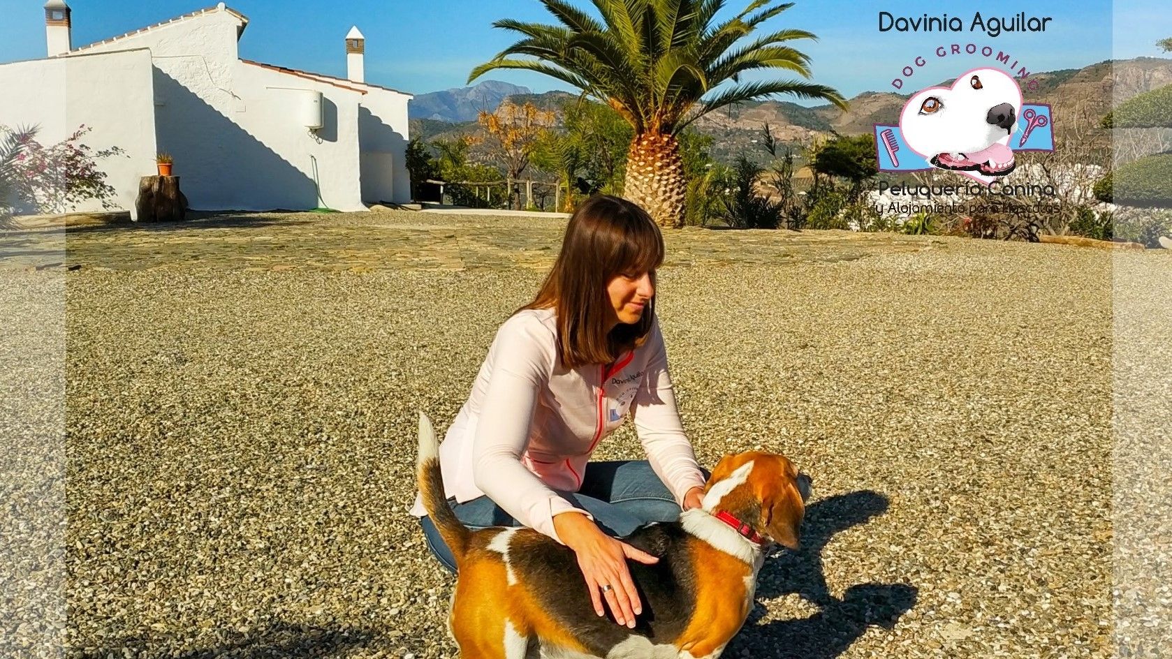 álora Best Pet Boarding, Grooming for Dogs, Cats with Pickup