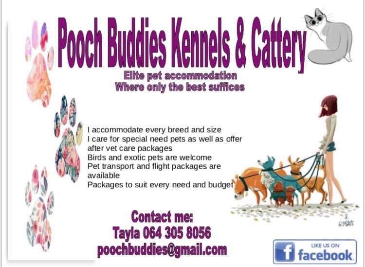 animal transport near me