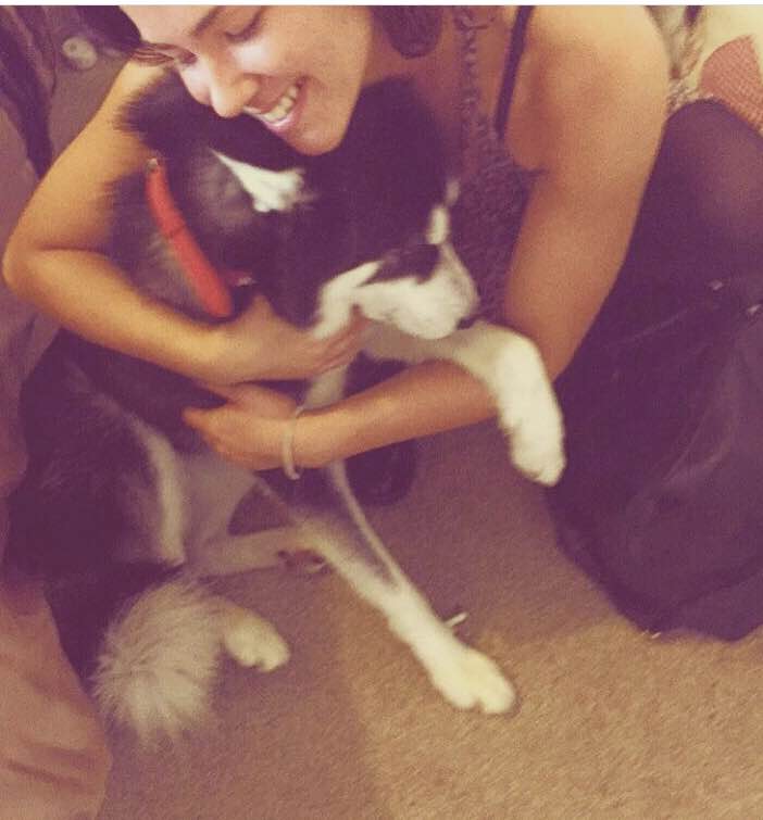 Top Dog Boarding in Newark with Best Prices on PetBacker