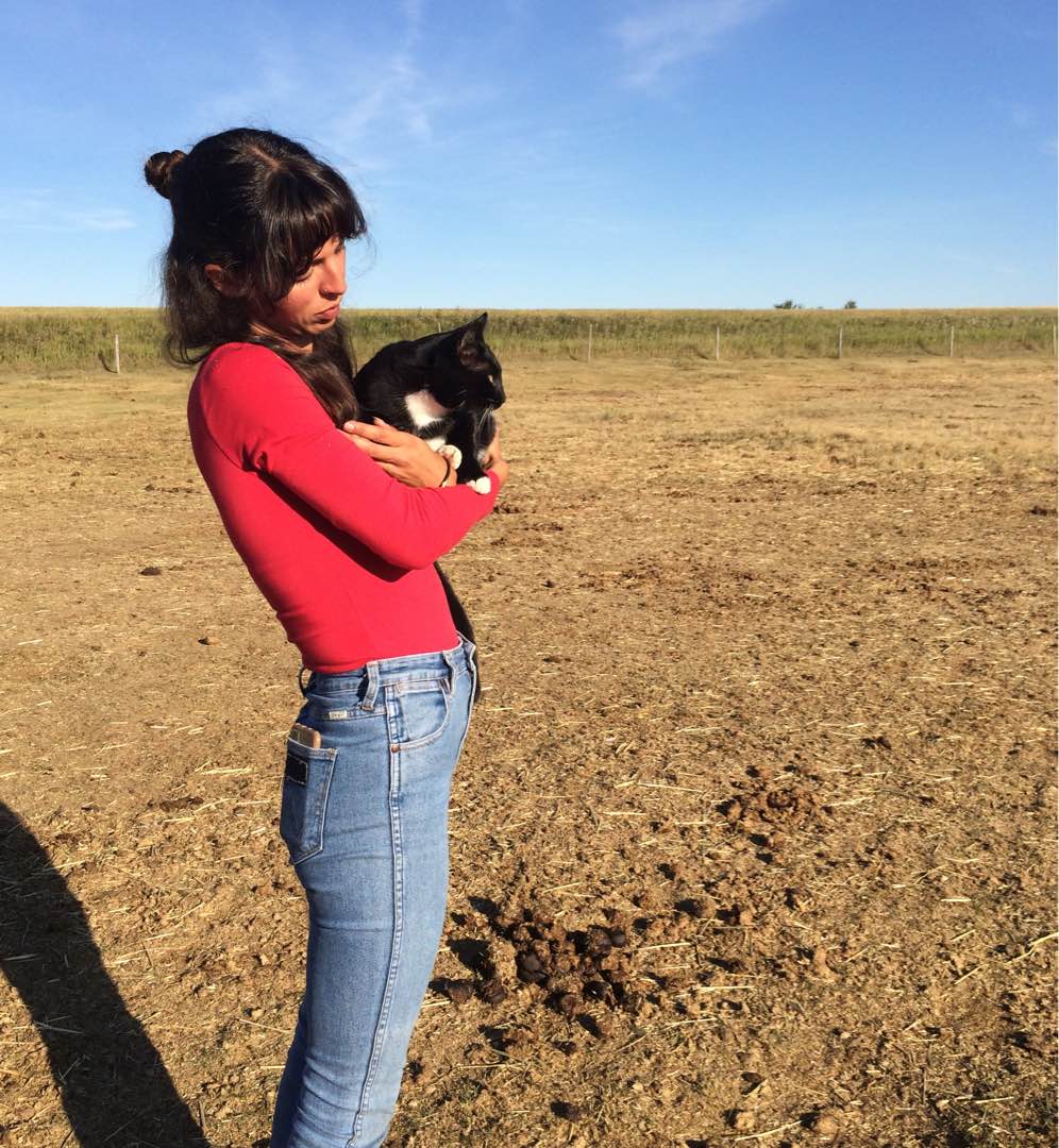 Myrtleford Best Pet Boarding, Grooming for Dogs, Cats with Pickup