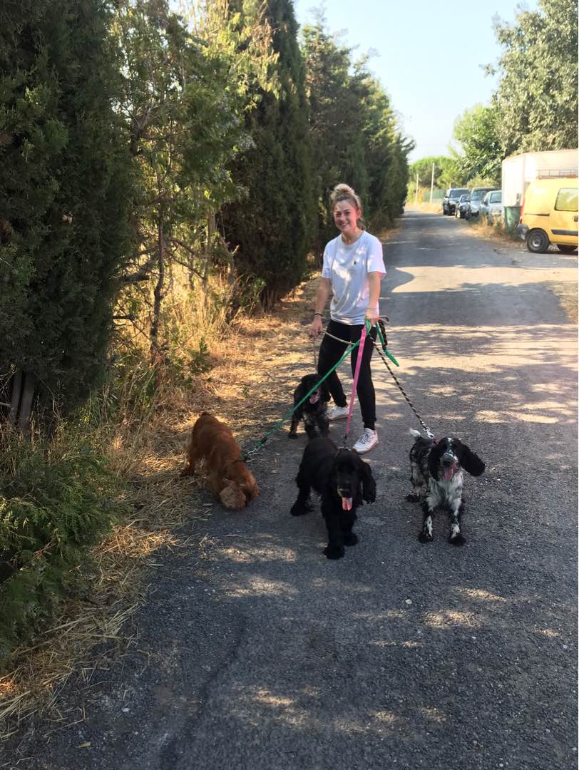 Top Pet House Sitting in Boujan Sur Libron with Best Prices on PetBacker