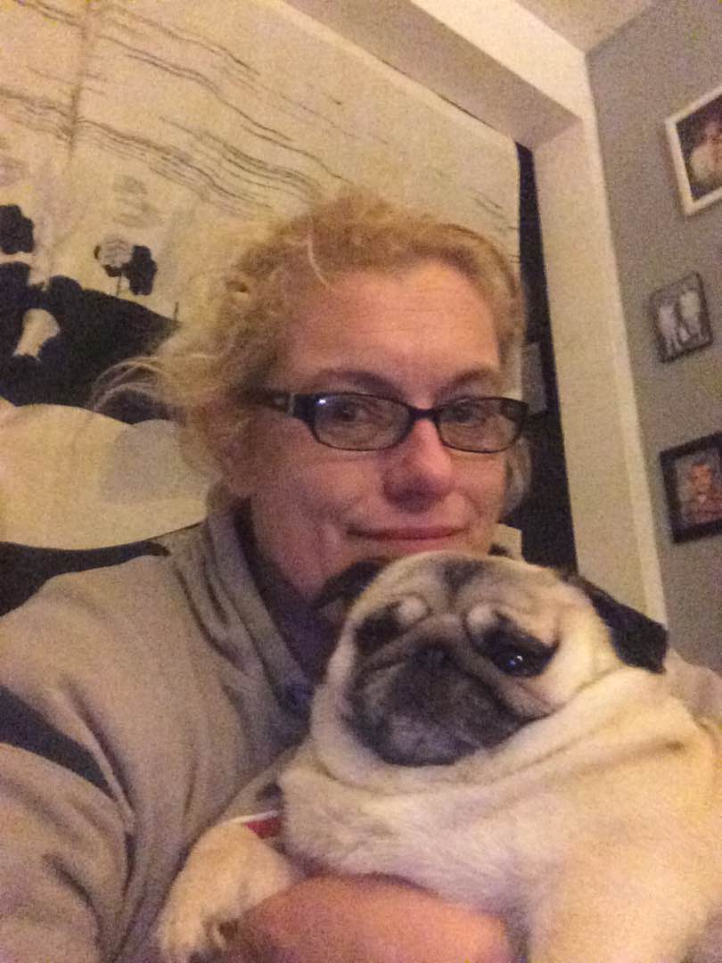 Pet Sitters in Biddeford with Best Prices on PetBacker