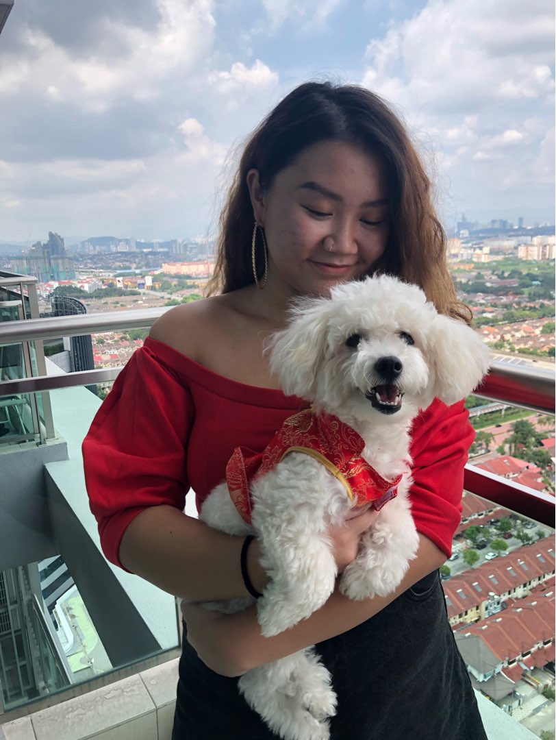 Dog Sitters in Hackney E5 with Best Prices on PetBacker