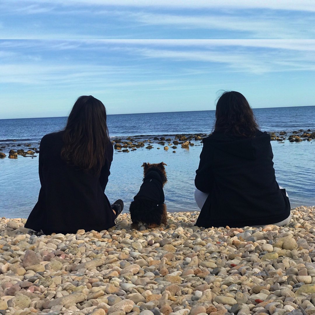 Top Doggy Daycare in El Campello with Best Prices on PetBacker