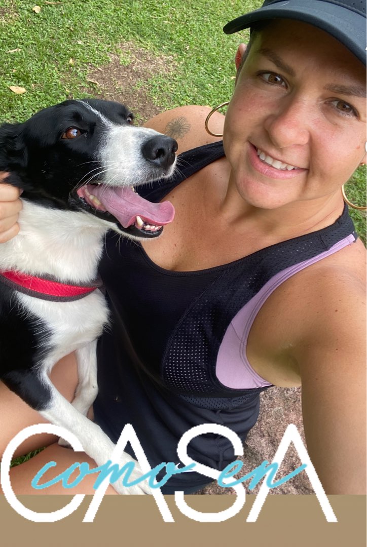 จ.กรุงเทพมหานคร Best Pet Boarding, Grooming and Pet Sitters Near Me PetBacker Costa Rica