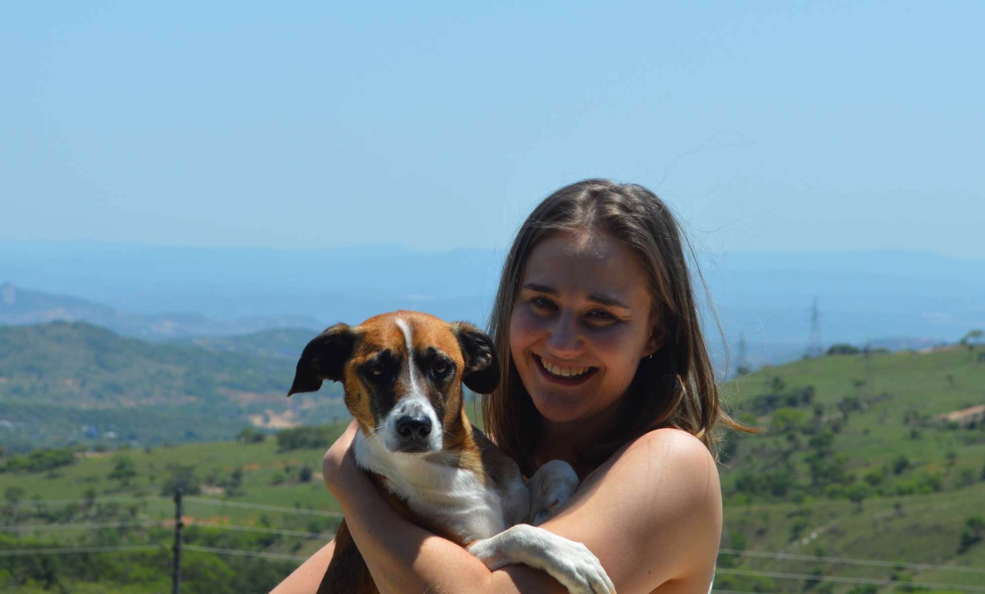 Get Pet Sitters Near Me Gallery