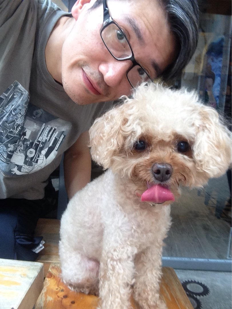 จ.ภูเก็ต Best Dog, Cat Boarding by Pet Sitters with Grooming, Training