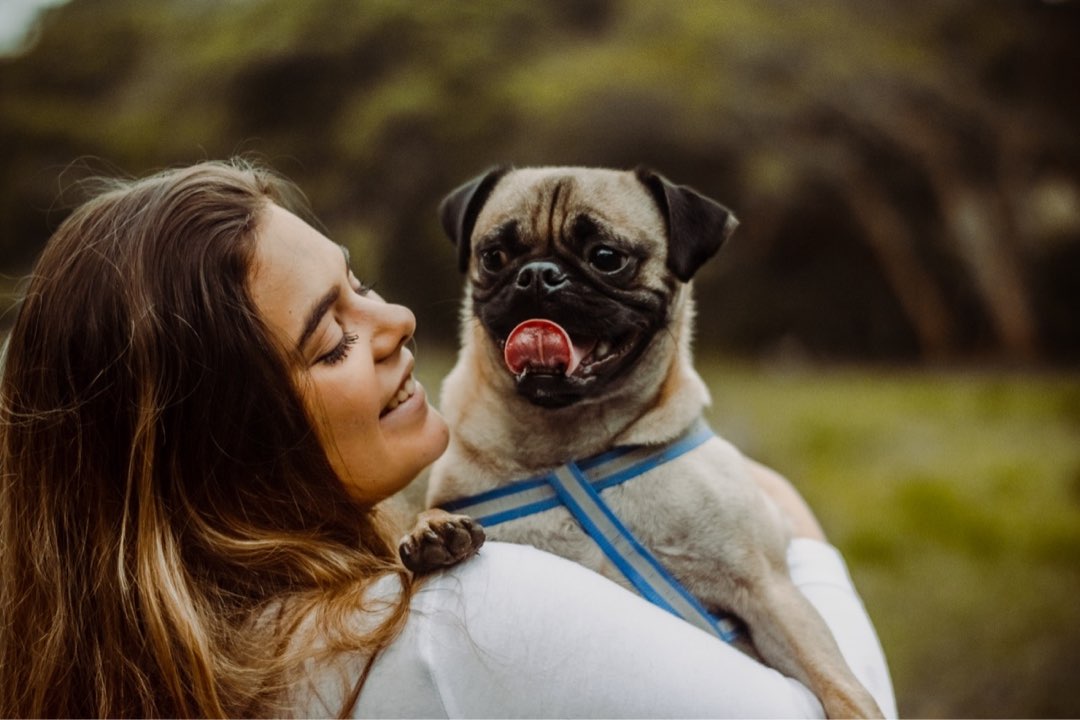 Isle Of Man Pet Boarding, Sitting, Grooming Petbacker®