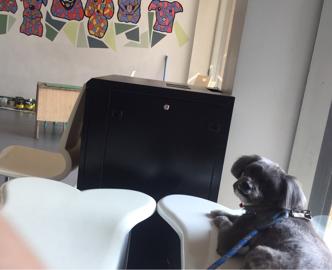 cheap animal boarding near me