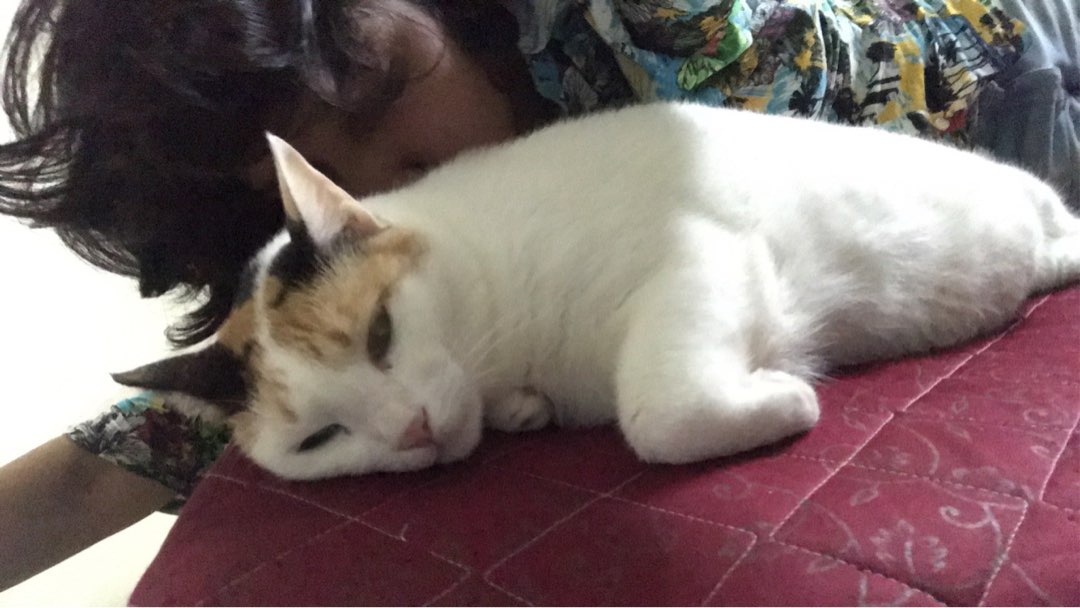 Walking in Borivali East with Best Prices on PetBacker