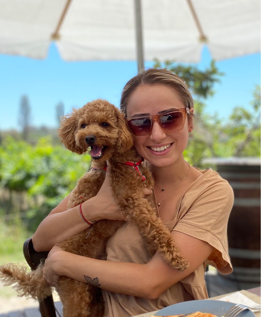 Top empfohlene Hunde Unterbringung in Wiesbaden