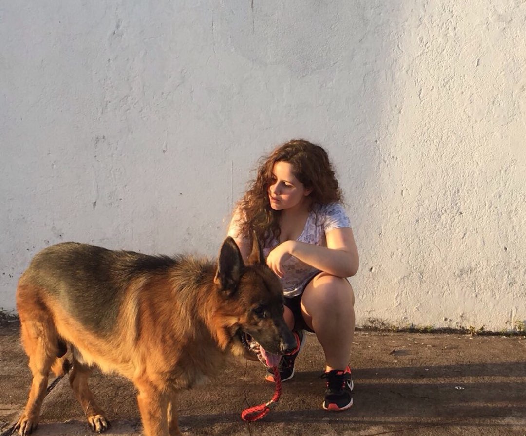 Lisboa Best Pet Boarding, Grooming and Pet Sitters Near Me PetBacker Portugal