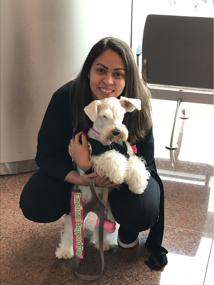 Top Pet Sitters in Kissimmee with Best Prices on PetBacker