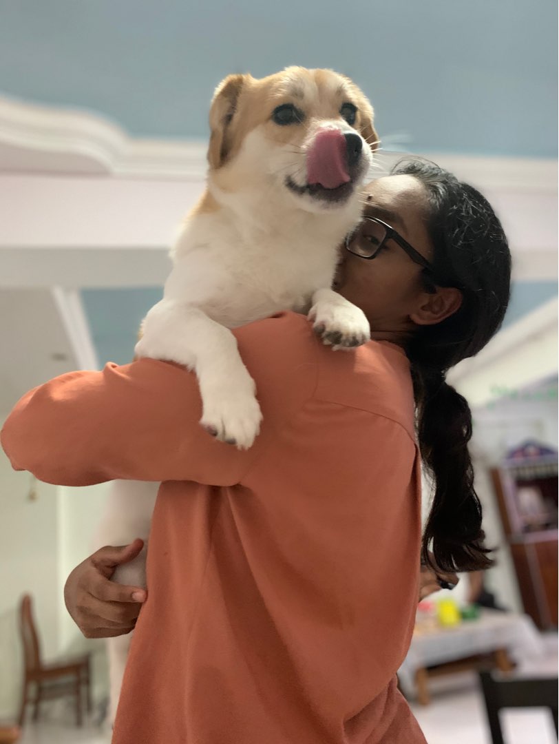 Dog Sitters in Singapore with Best Prices on PetBacker