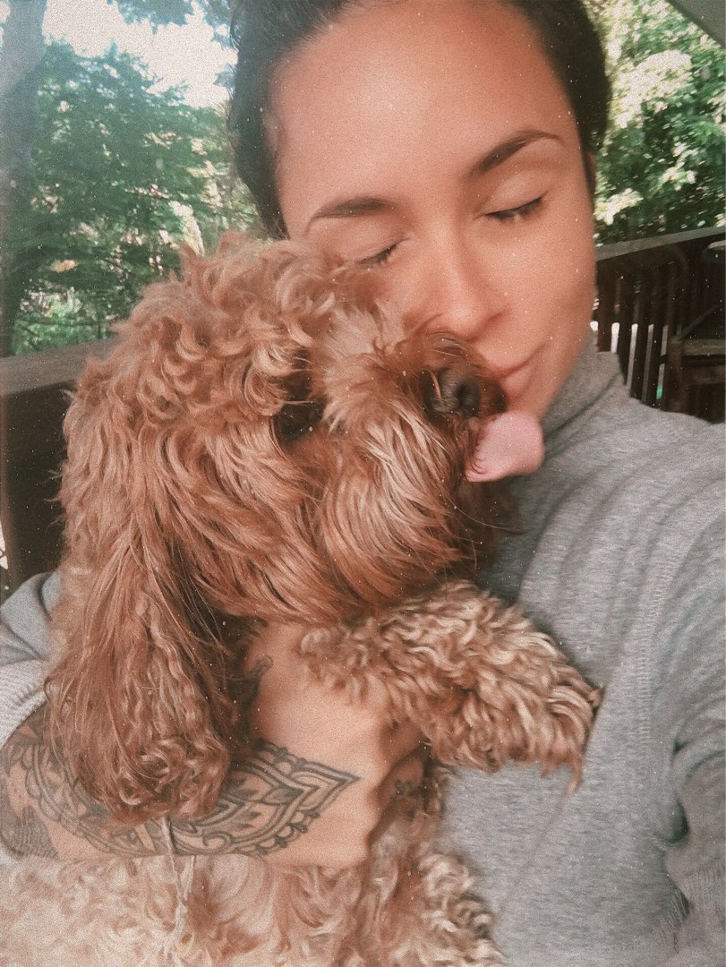 Top empfohlene Hunde Unterbringung in Bezirk Mitte