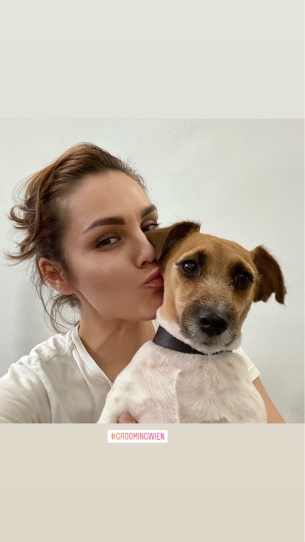 dog hair trimmer near me