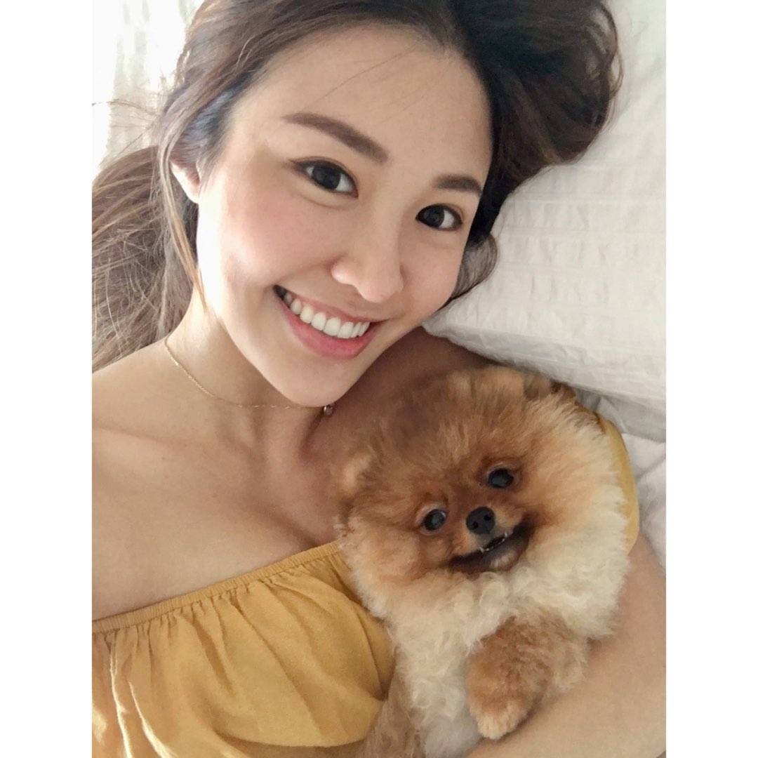 northpoint pet lover