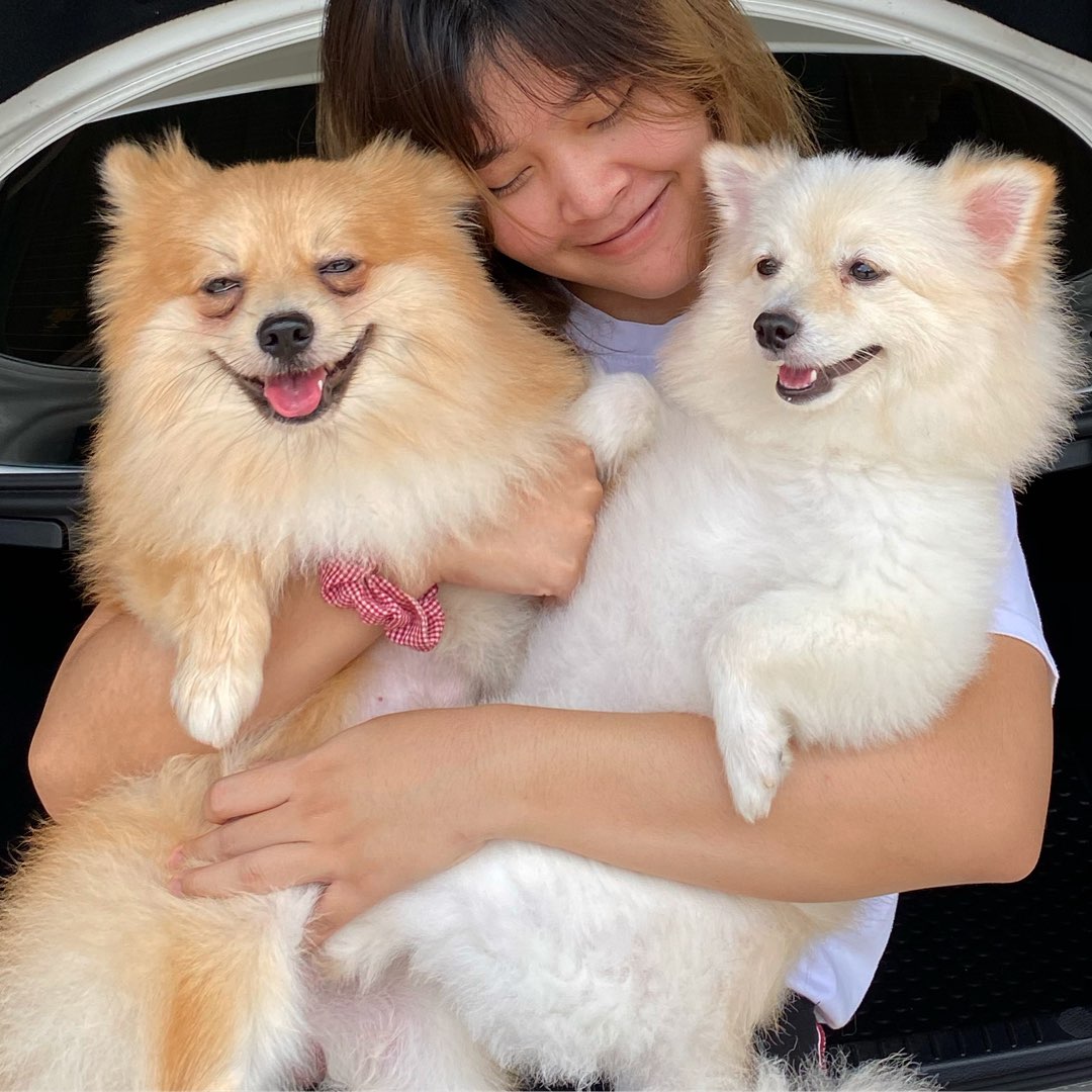 Victoria Backer ตำบลปากน้ำ Best Pet Boarding, Grooming for Dogs, Cats with Pickup ...