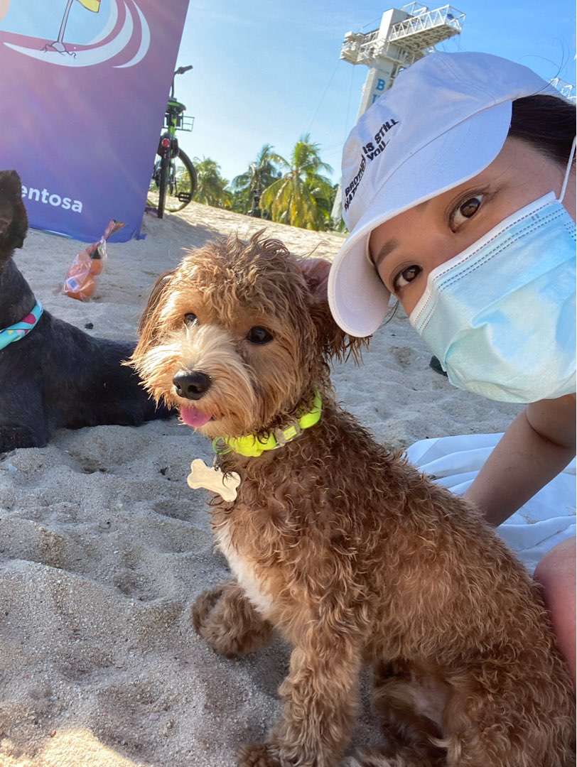 Novena Dog Walking Prices & Reviews PetBacker