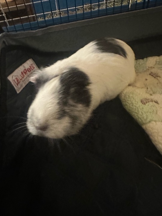 Too cute to be true! 